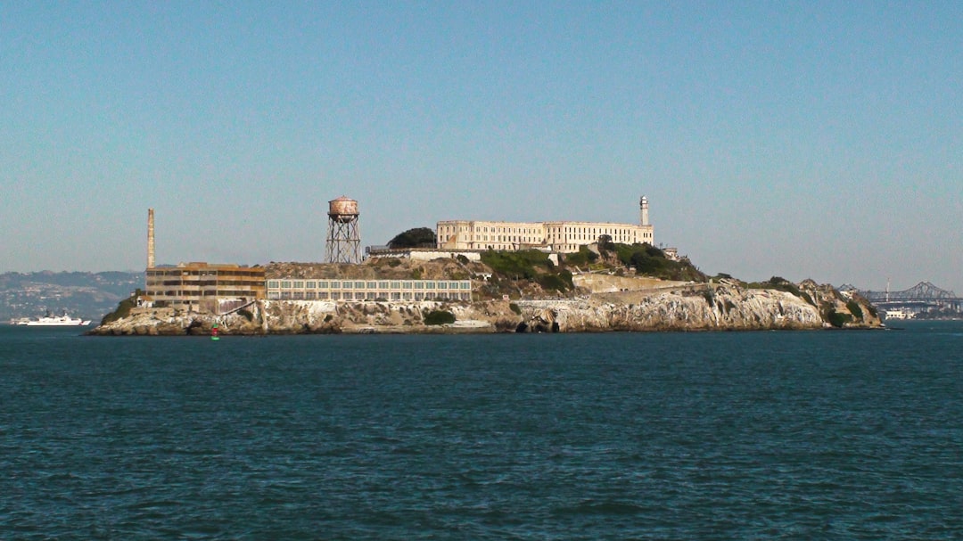 Photo alligator alcatraz